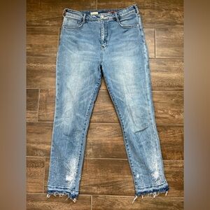 Cigarette Anthropologie Pilcro Light Blue Denim Jeans
